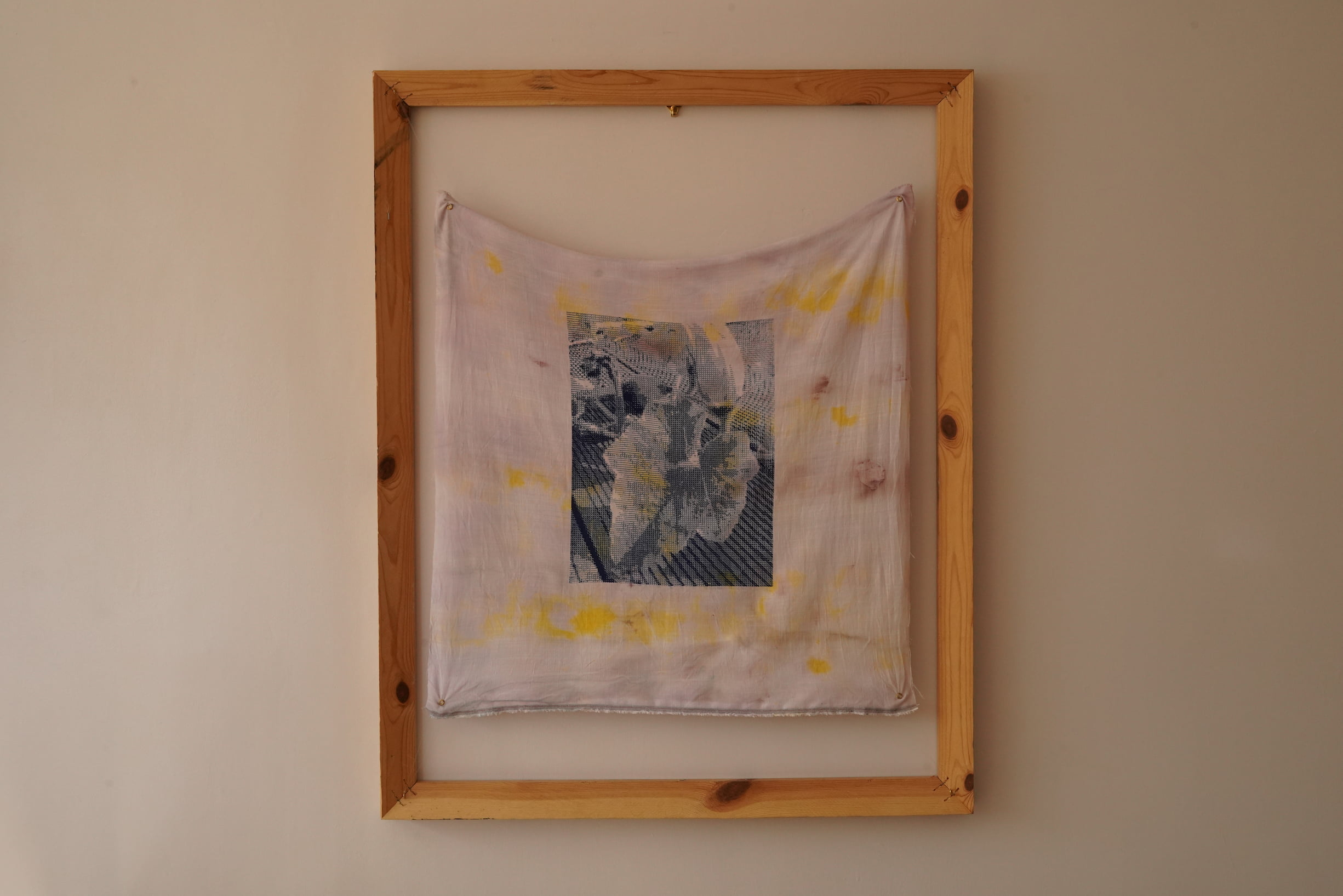 Dye Garden Studies