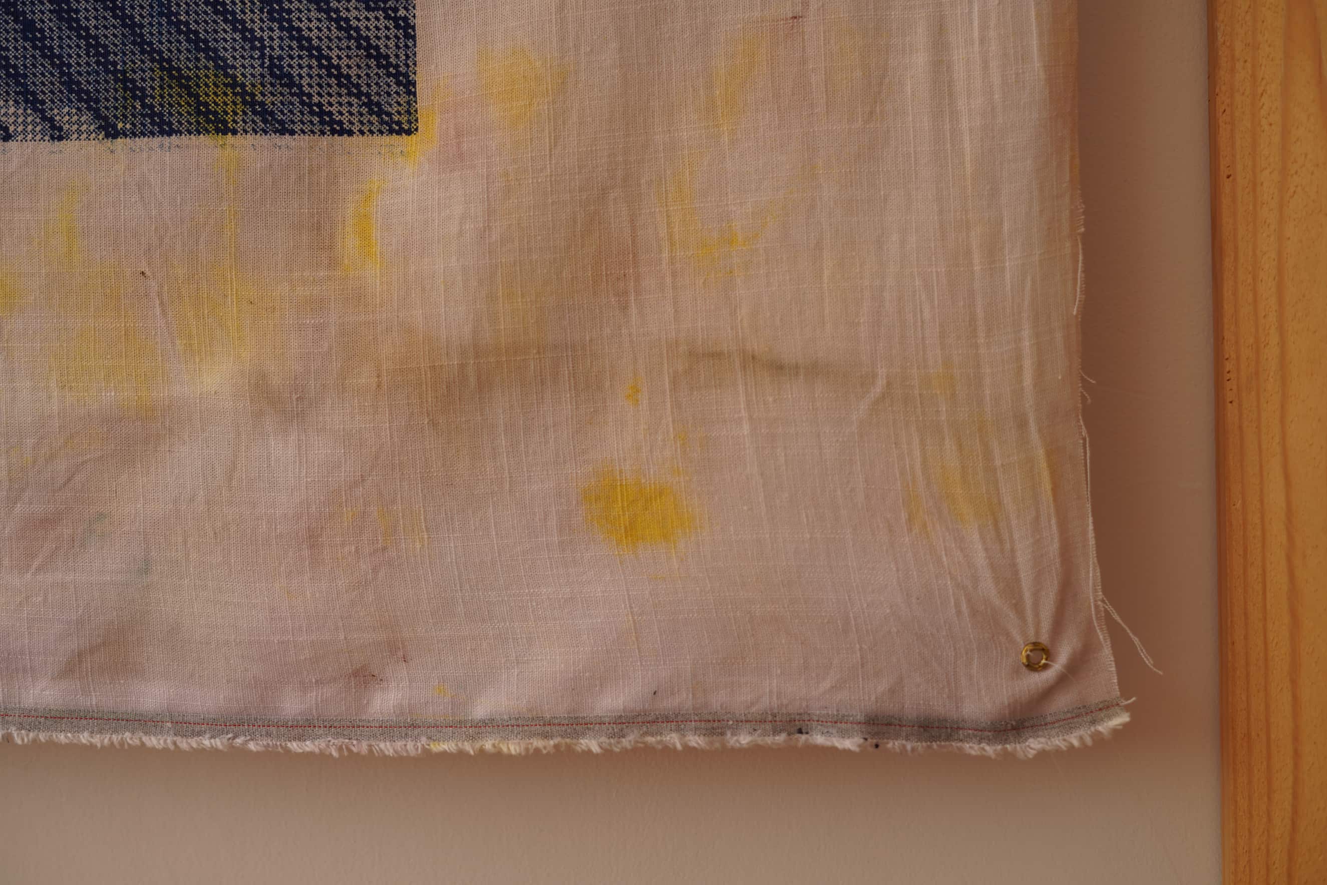 Dye Garden Studies