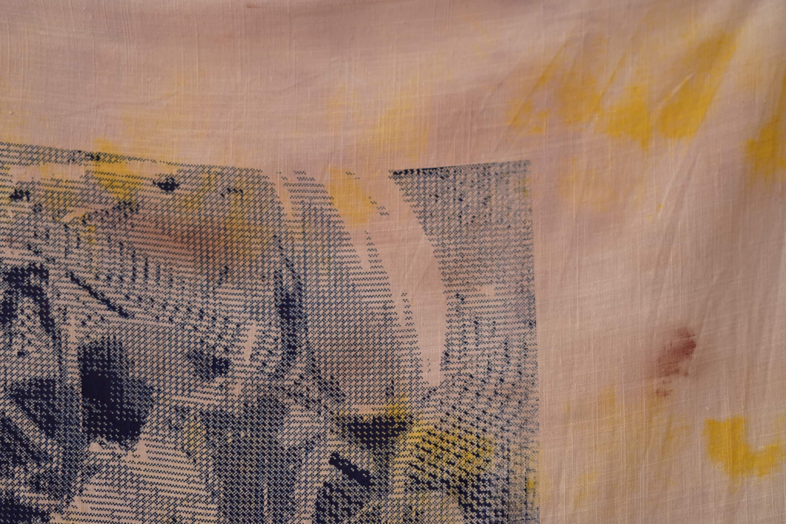 Dye Garden Studies