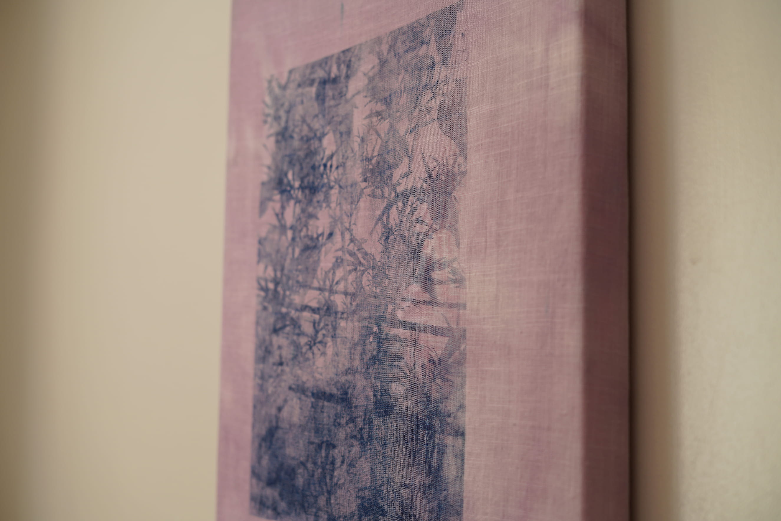 Dye Garden Studies